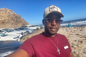 Экскурсия на мыс Доброй Надежды > Чапманс Драйв > Пингвины > Остров тюленей