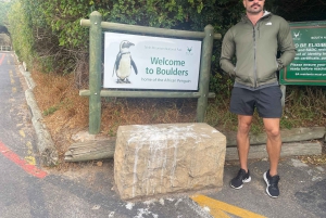 Экскурсия на мыс Доброй Надежды > Чапманс Драйв > Пингвины > Остров тюленей