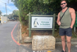 Экскурсия на мыс Доброй Надежды > Чапманс Драйв > Пингвины > Остров тюленей