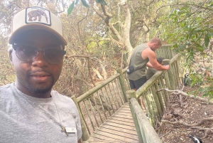 Экскурсия на мыс Доброй Надежды > Чапманс Драйв > Пингвины > Остров тюленей