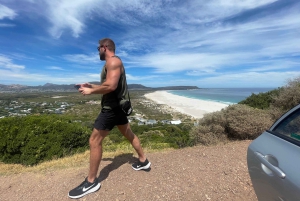 Экскурсия на мыс Доброй Надежды > Чапманс Драйв > Пингвины > Остров тюленей