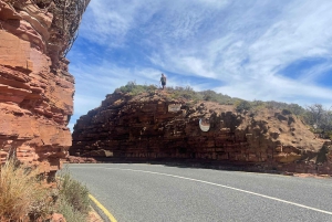 Экскурсия на мыс Доброй Надежды > Чапманс Драйв > Пингвины > Остров тюленей