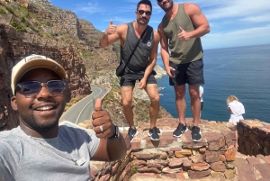 Экскурсия на мыс Доброй Надежды > Чапманс Драйв > Пингвины > Остров тюленей