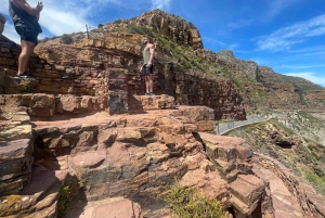 Экскурсия на мыс Доброй Надежды > Чапманс Драйв > Пингвины > Остров тюленей