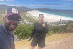 Экскурсия на мыс Доброй Надежды > Чапманс Драйв > Пингвины > Остров тюленей