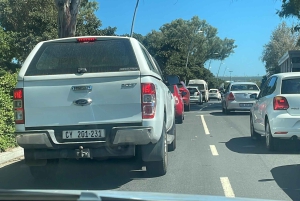 Экскурсия на мыс Доброй Надежды > Чапманс Драйв > Пингвины > Остров тюленей