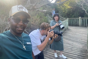 Экскурсия на мыс Доброй Надежды > Чапманс Драйв > Пингвины > Остров тюленей