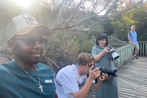 Экскурсия на мыс Доброй Надежды > Чапманс Драйв > Пингвины > Остров тюленей