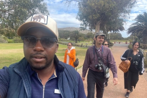 Экскурсия на мыс Доброй Надежды > Чапманс Драйв > Пингвины > Остров тюленей