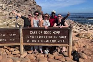 Экскурсия на мыс Доброй Надежды > Чапманс Драйв > Пингвины > Остров тюленей