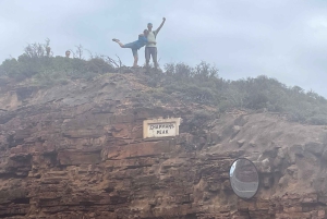 Экскурсия на мыс Доброй Надежды > Чапманс Драйв > Пингвины > Остров тюленей