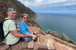 Экскурсия на мыс Доброй Надежды > Чапманс Драйв > Пингвины > Остров тюленей