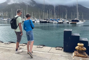 Экскурсия на мыс Доброй Надежды > Чапманс Драйв > Пингвины > Остров тюленей