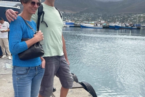 Экскурсия на мыс Доброй Надежды > Чапманс Драйв > Пингвины > Остров тюленей