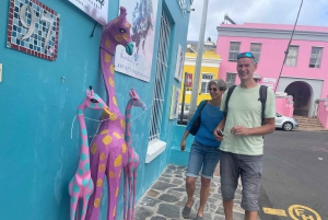 Экскурсия на мыс Доброй Надежды > Чапманс Драйв > Пингвины > Остров тюленей