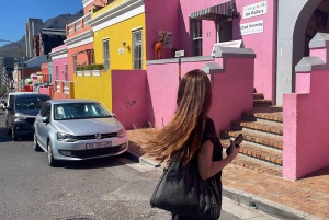 Экскурсия на мыс Доброй Надежды > Чапманс Драйв > Пингвины > Остров тюленей