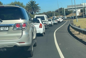 Экскурсия на мыс Доброй Надежды > Чапманс Драйв > Пингвины > Остров тюленей