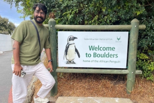 Экскурсия на мыс Доброй Надежды > Чапманс Драйв > Пингвины > Остров тюленей