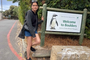 Экскурсия на мыс Доброй Надежды > Чапманс Драйв > Пингвины > Остров тюленей