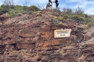 Экскурсия на мыс Доброй Надежды > Чапманс Драйв > Пингвины > Остров тюленей