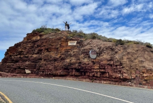 Экскурсия на мыс Доброй Надежды > Чапманс Драйв > Пингвины > Остров тюленей