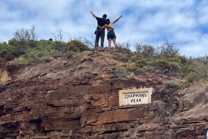 Экскурсия на мыс Доброй Надежды > Чапманс Драйв > Пингвины > Остров тюленей