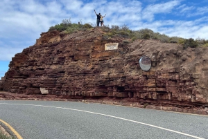 Экскурсия на мыс Доброй Надежды > Чапманс Драйв > Пингвины > Остров тюленей