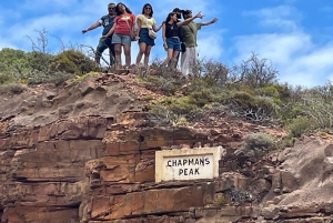 Экскурсия на мыс Доброй Надежды > Чапманс Драйв > Пингвины > Остров тюленей