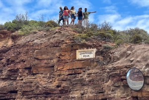 Экскурсия на мыс Доброй Надежды > Чапманс Драйв > Пингвины > Остров тюленей