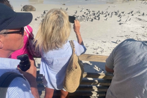 Экскурсия на мыс Доброй Надежды > Чапманс Драйв > Пингвины > Остров тюленей