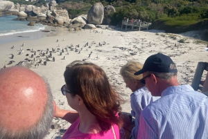 Экскурсия на мыс Доброй Надежды > Чапманс Драйв > Пингвины > Остров тюленей