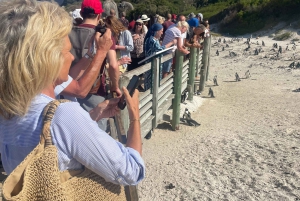 Экскурсия на мыс Доброй Надежды > Чапманс Драйв > Пингвины > Остров тюленей