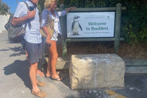 Экскурсия на мыс Доброй Надежды > Чапманс Драйв > Пингвины > Остров тюленей