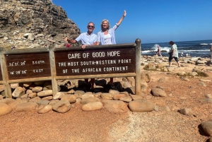 Экскурсия на мыс Доброй Надежды > Чапманс Драйв > Пингвины > Остров тюленей