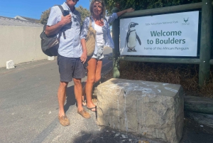 Экскурсия на мыс Доброй Надежды > Чапманс Драйв > Пингвины > Остров тюленей