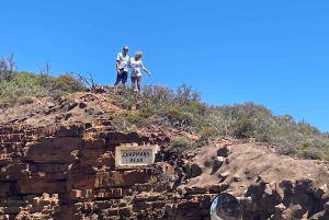 Экскурсия на мыс Доброй Надежды > Чапманс Драйв > Пингвины > Остров тюленей