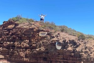 Экскурсия на мыс Доброй Надежды > Чапманс Драйв > Пингвины > Остров тюленей