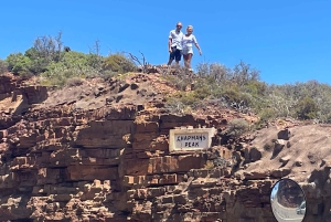 Экскурсия на мыс Доброй Надежды > Чапманс Драйв > Пингвины > Остров тюленей