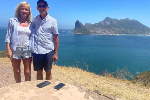 Экскурсия на мыс Доброй Надежды > Чапманс Драйв > Пингвины > Остров тюленей