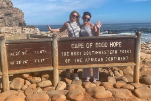 Экскурсия на мыс Доброй Надежды > Чапманс Драйв > Пингвины > Остров тюленей