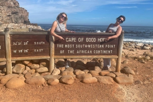 Экскурсия на мыс Доброй Надежды > Чапманс Драйв > Пингвины > Остров тюленей