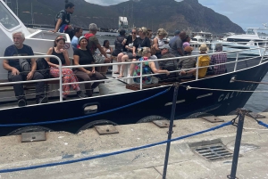 Экскурсия на мыс Доброй Надежды > Чапманс Драйв > Пингвины > Остров тюленей