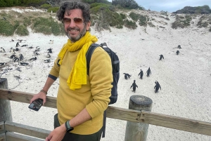 Экскурсия на мыс Доброй Надежды > Чапманс Драйв > Пингвины > Остров тюленей