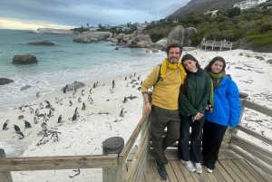 Экскурсия на мыс Доброй Надежды > Чапманс Драйв > Пингвины > Остров тюленей