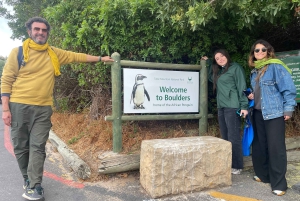 Экскурсия на мыс Доброй Надежды > Чапманс Драйв > Пингвины > Остров тюленей