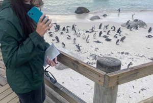 Экскурсия на мыс Доброй Надежды > Чапманс Драйв > Пингвины > Остров тюленей