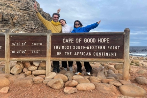 Экскурсия на мыс Доброй Надежды > Чапманс Драйв > Пингвины > Остров тюленей