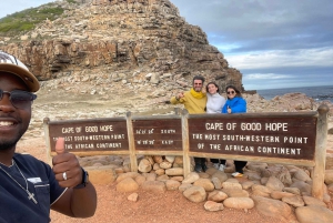 Экскурсия на мыс Доброй Надежды > Чапманс Драйв > Пингвины > Остров тюленей