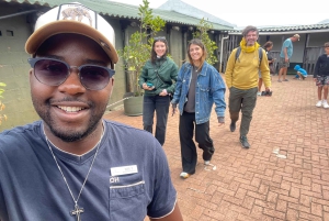 Экскурсия на мыс Доброй Надежды > Чапманс Драйв > Пингвины > Остров тюленей