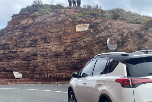 Экскурсия на мыс Доброй Надежды > Чапманс Драйв > Пингвины > Остров тюленей